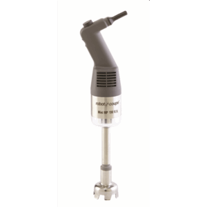 Mixeur mini MP190